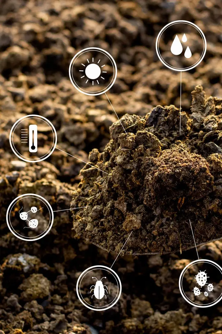 image showing soil composition